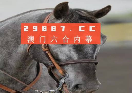 澳门一肖一码一待一中-实证分析解释落实
