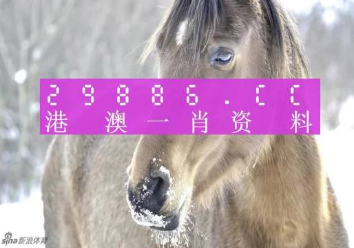 最准一肖一码100%-澳门释义成语解释