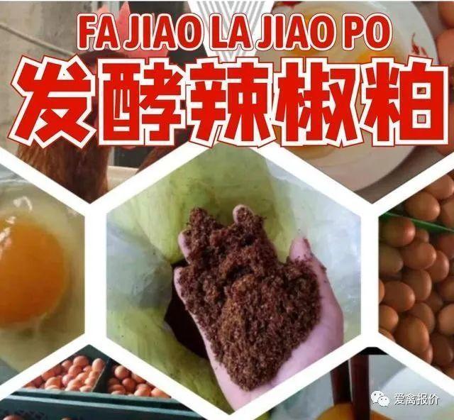 大连九三豆粕最新报价，市场动态与趋势分析