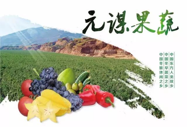 最新元谋蔬菜价格概览