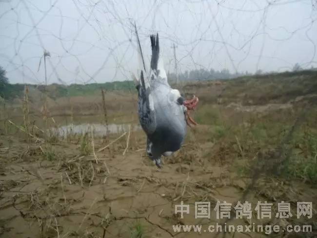 资讯 第13页