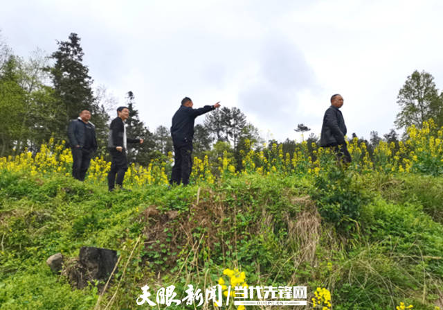 贵州贵定昌明最新动态