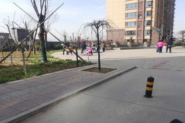 中景香颂最新价格动态及分析