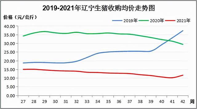 辽宁黄瓜价格最新行情分析